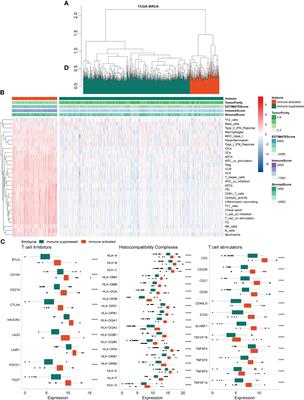 Analyses of hypoxia-related risk factors and clinical relevance in breast cancer